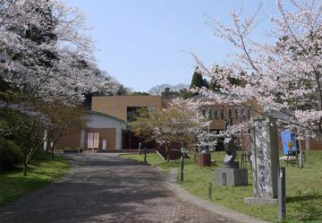 茂原市立美術館・郷土資料館は、日本さくらの名所百選に選ばれた茂原公園内に、平成6年10月に開館しました。ご来館の皆さんに、公園を散策しながら気軽に芸術文化に親しんでいただける絶好の場所にあります。